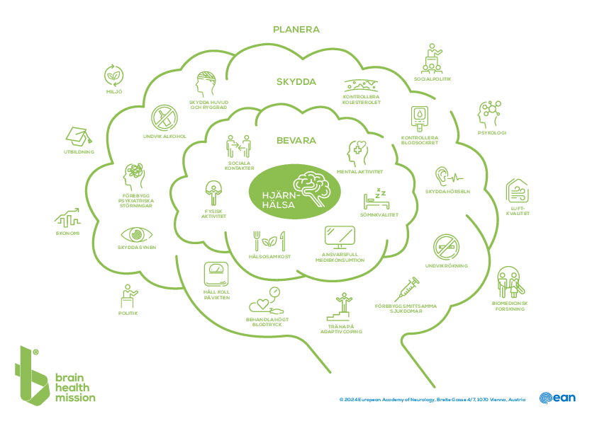 EAN_BrainHealthBubble_CMYK_green_swedish.pdf