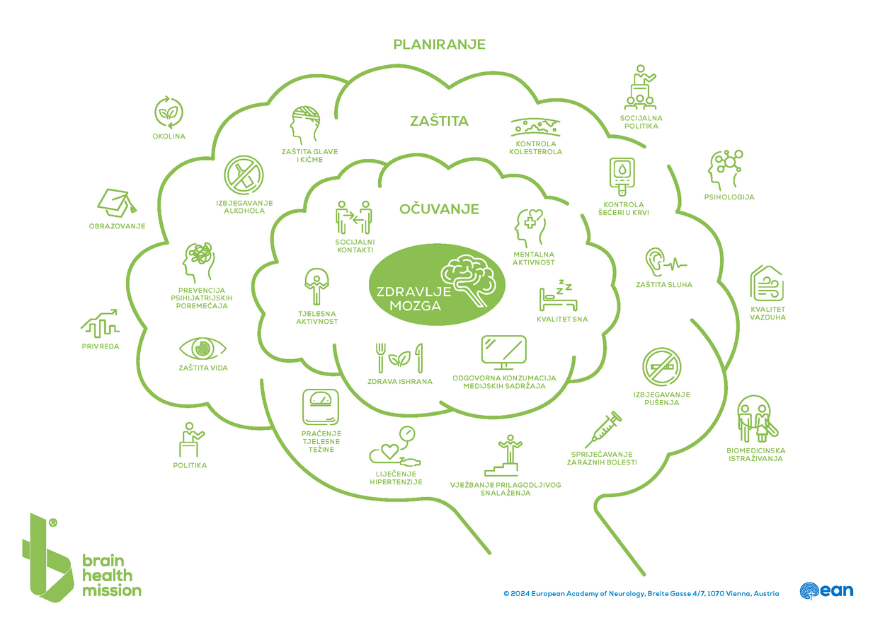 EAN_BrainHealthBubble_CMYK_green_montenegrin.png