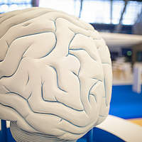 Saturday 16 June 2018