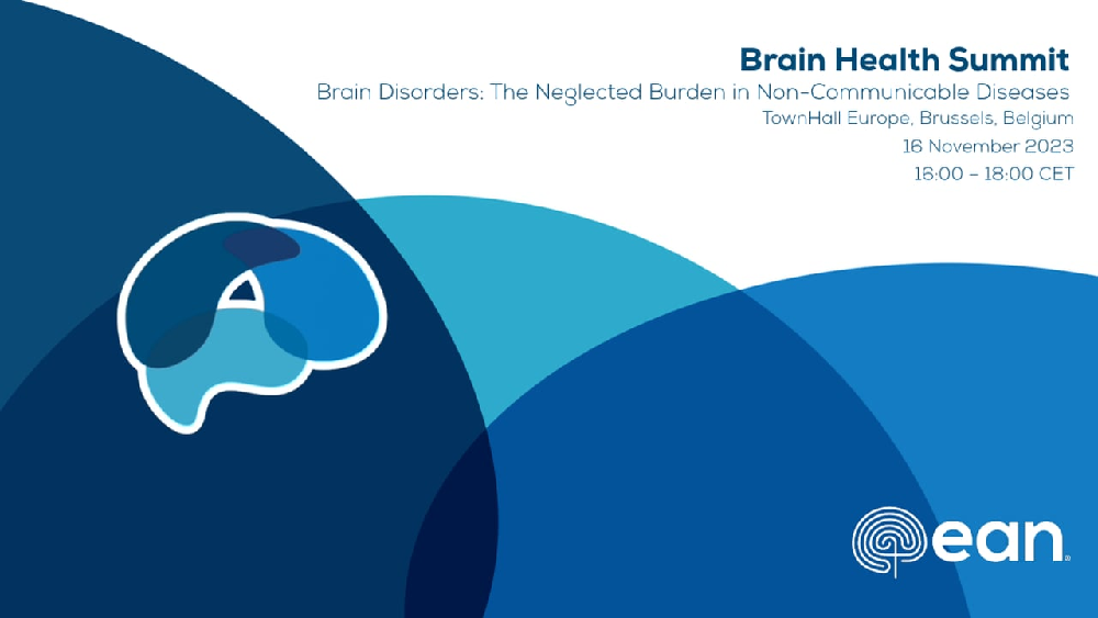 Brain Disorders: The Neglected Burden in Non-Communicable Diseases (long version) Brain Disorders: The Neglected Burden in Non-Communicable Diseases (long version)