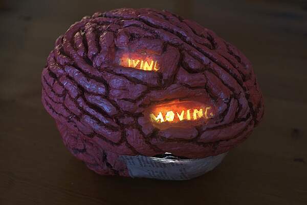 3D_brain_out_of_papier-mache_01.jpg