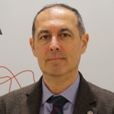 Meletti, Stefano
