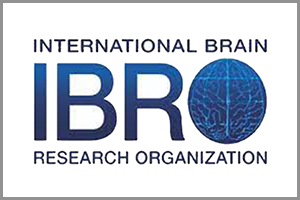 ibro.png